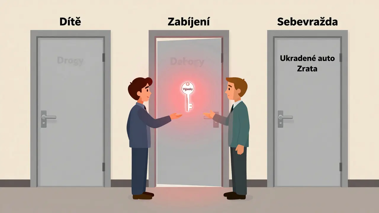 Terapeut drží klíč k výjimkám tajemství, ostatní jsou zavřené.