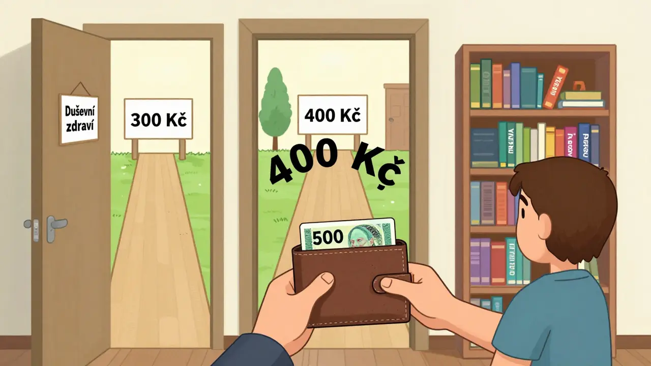 Člověk s malým peněženkou před dveřmi duševního zdraví s třemi možnostmi pomoci.