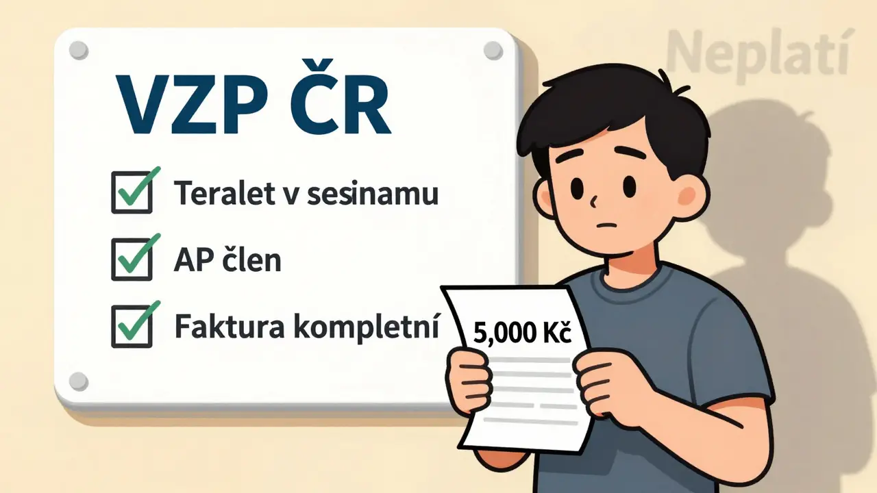 Co proplácí a co neproplácí zdravotní pojišťovna u psychoterapie v roce 2025