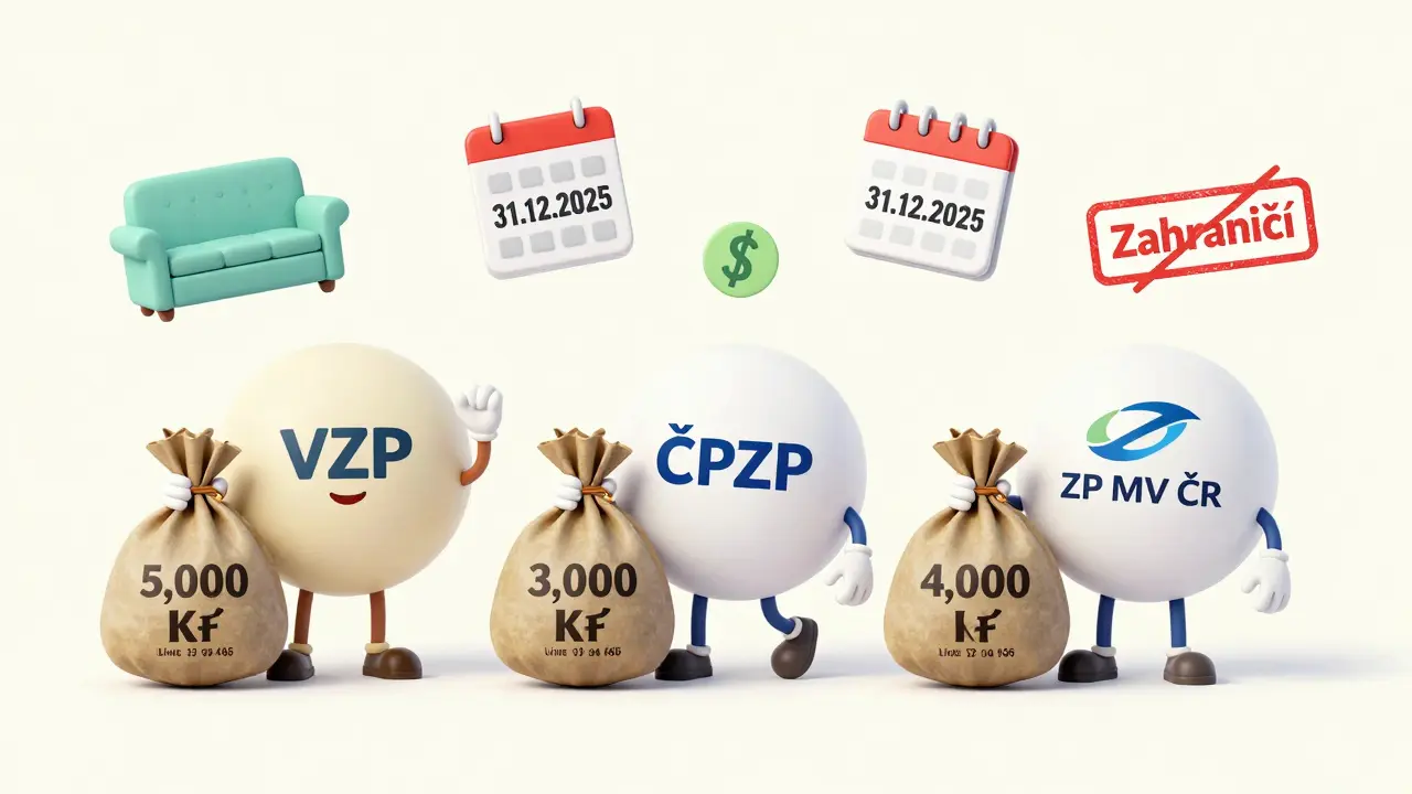 Tři kartonové pojišťovny s různými částkami peněz a omezeními pro psychoterapii.